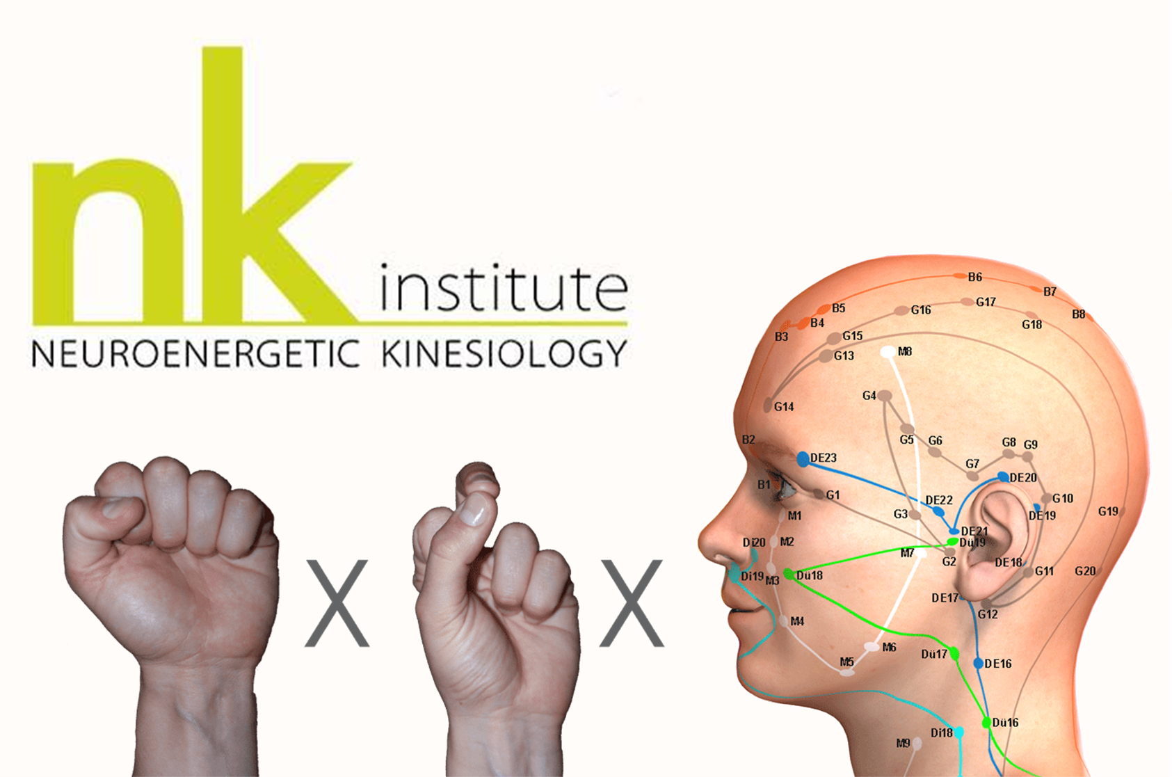 Neuro-energetische Kinesiologie 